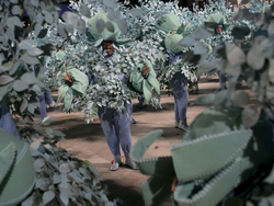 Brazil Carnival