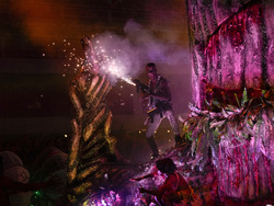 Brazil Carnival