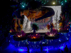 Brazil Carnival