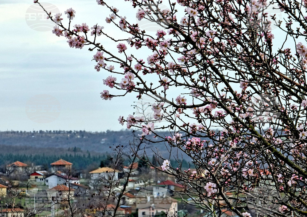 Прогноза за времето 