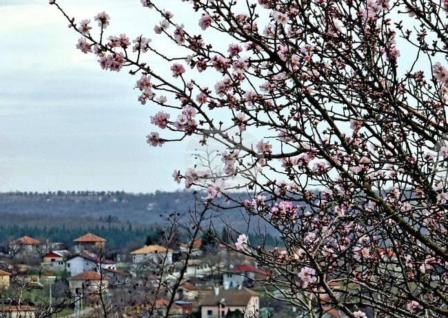 Прогноза за времето 