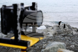 Остров Ливингстън - Национална антарктическа експедиция - Петър Сапунджиев