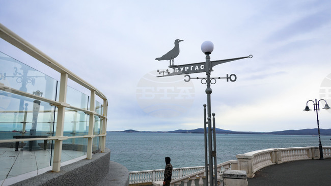 Моряците от ферибота "Дружба" ще упражняват вота си в открито море