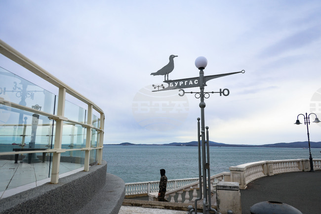 Моряците от ферибота "Дружба" ще упражняват вота си в открито море