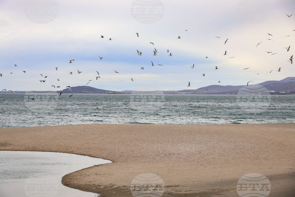 Tourism Ministry Assures Bulgarian Beaches Are in Perfect Condition