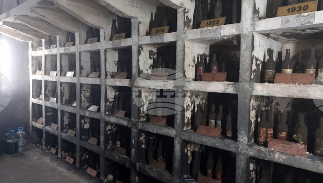 Плевен - Институт по лозарство и винарство