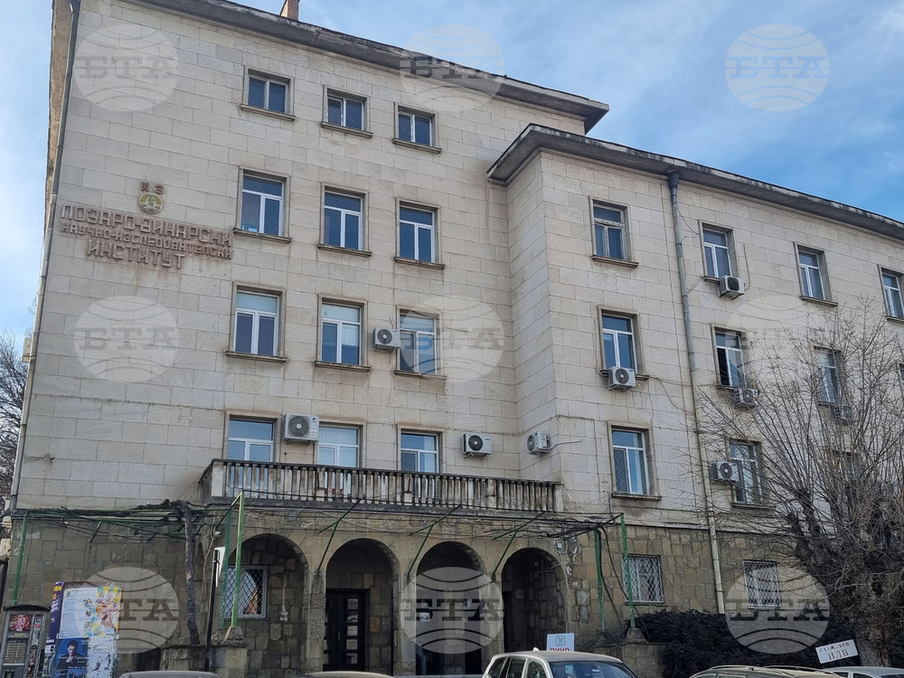 В Института по лозарство и винарство в Плевен ще се проведе ден на отворените врати, посветен на сорта "Рубин"