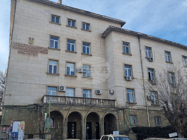 Wine-Based Frappe to Debut at Pleven's Wine Institute Open Day