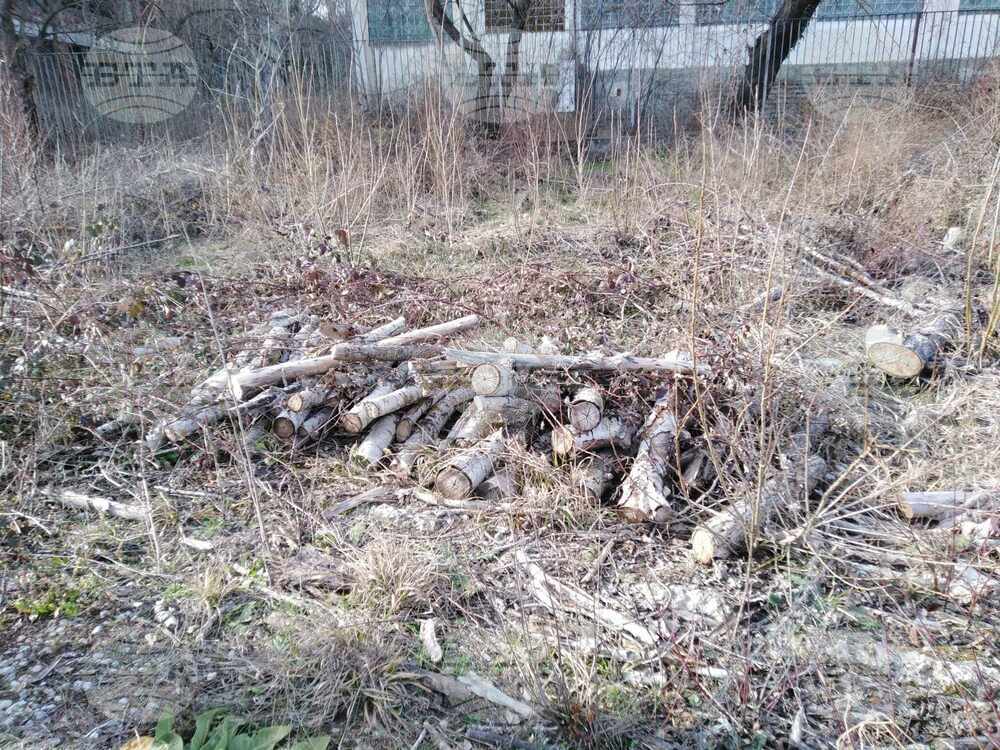 Областният управител на Ловеч подаде сигнал до Окръжната прокуратура за изсечени дървета в държавни имоти