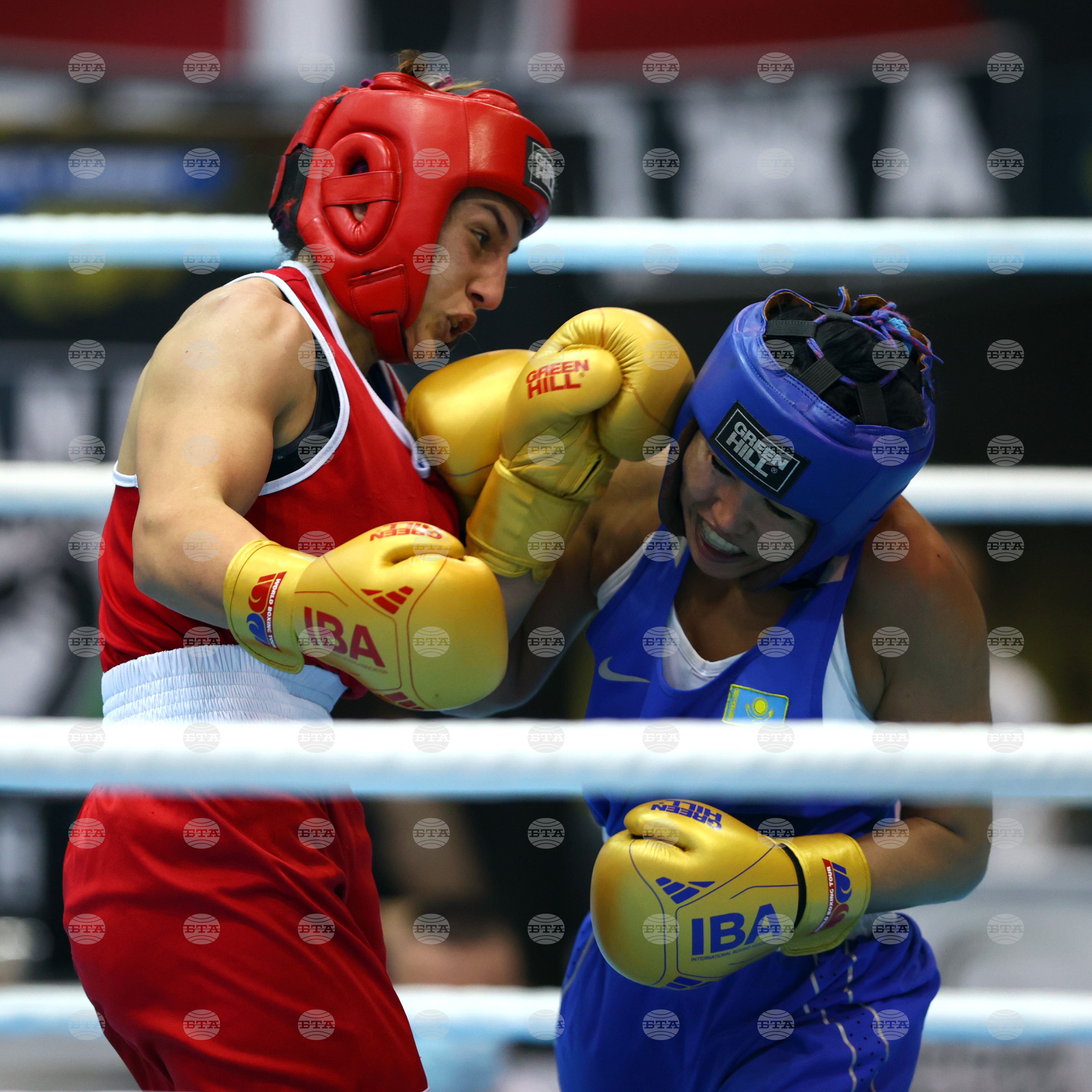 Бокс - Странджа 2022