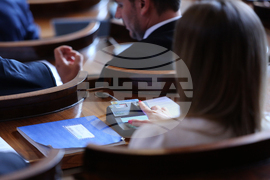 Парламент - заседание