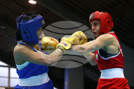 Бокс - Странджа 2022