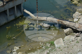 Русе - река Дунав - ниво - спадане