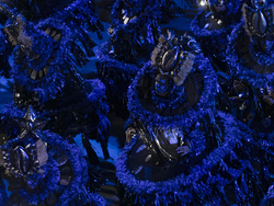 Brazil Carnival