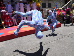 Brazil Carnival Photo Gallery