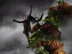 Brazil Carnival Photo Gallery