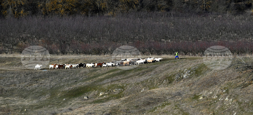 Azerbaijan Has Not Confirmed whether Imports of Bulgarian Foods Are Banned