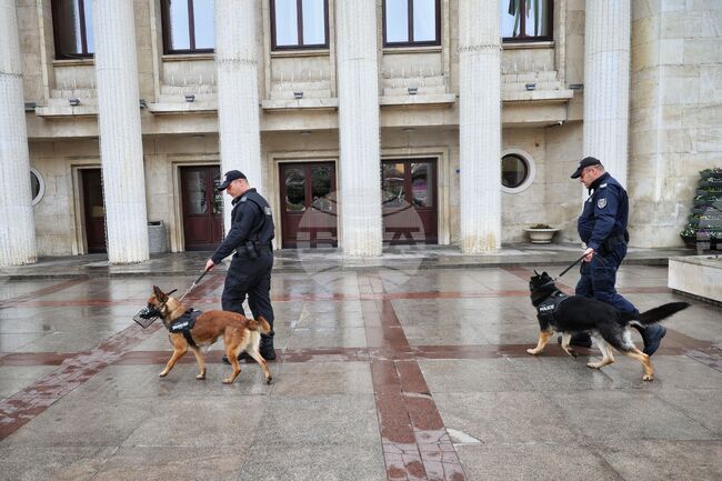 Бургас - полицейски кучета - патрули