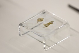 Изложба „Българска археология 2023“ - представяне