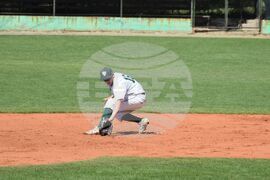 Благоевград - бейзбол - България - Ирландия