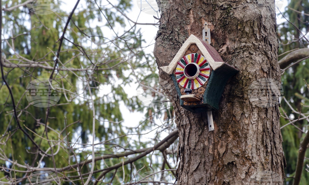Five Sofia Parks Have New Information Displays about Local Bird Species