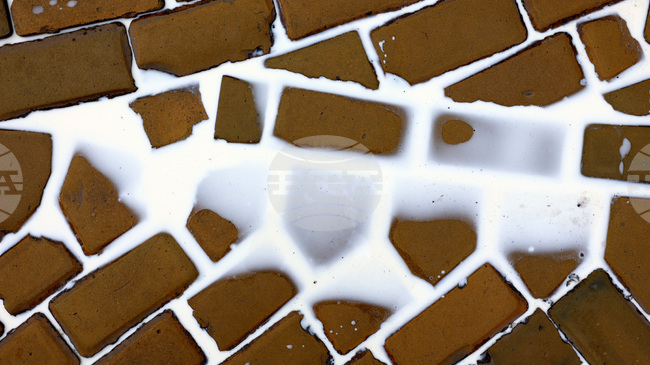 Българската агенция по безопасност на храните ще проверява всички пратки със сурово мляко и млечен концентрат, които влизат в България