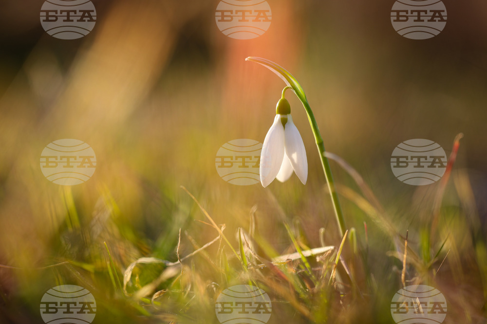 Weather in March: Lowest Temperature at Minus 5C, Highest at 25C