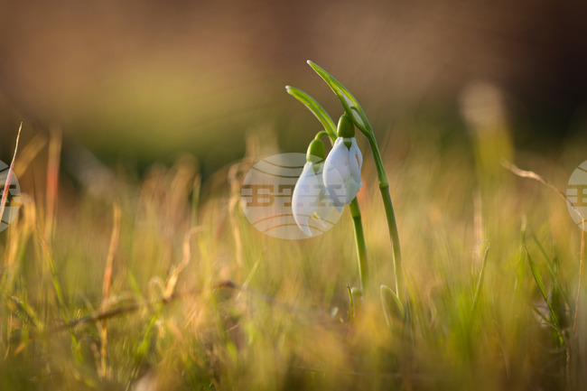 The Weather on April 8