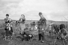 Ден на лозаря