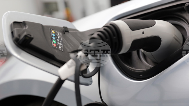 Electrocharge Network, Petrol Gas Station Chain to Build 200 EV Charging Points in Bulgaria over Next Three Years