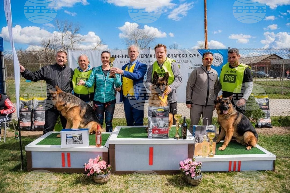 Национална киноложка изложба събира породисти кучета в Димитровград
