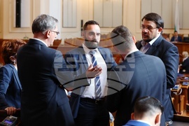 Парламент - заседание