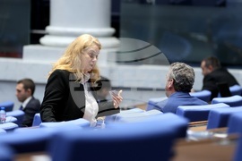 Парламент - заседание