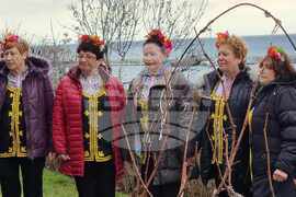 Свети Влас - Трифон Зарезан - честване