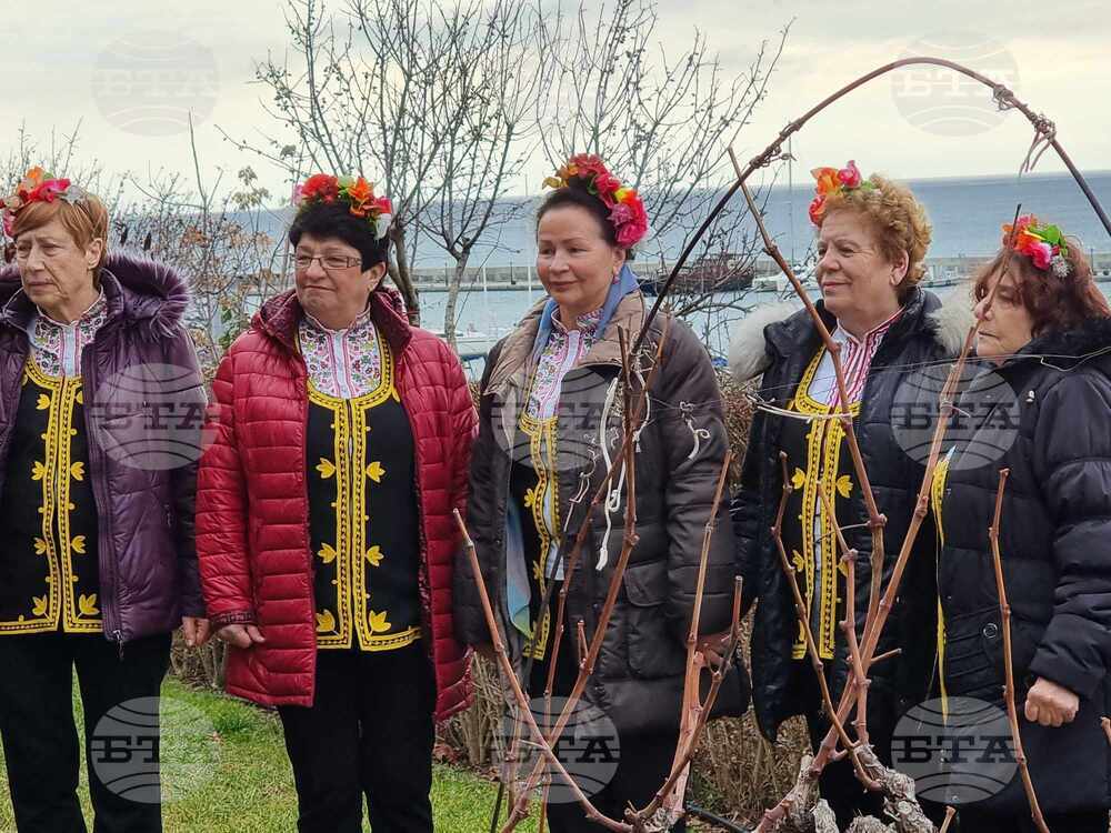 Свети Влас - Трифон Зарезан - честване