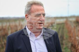 Поморие - Трифон Зарезан - празнично зарязване на лозята