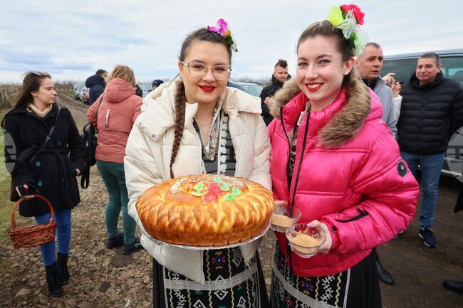 Поморие - Трифон Зарезан - празнично зарязване на лозята