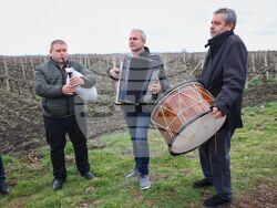 Поморие - Трифон Зарезан - празнично зарязване на лозята