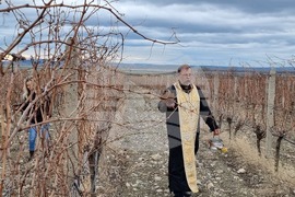 Село Глушник - Трифон Зарезан - зарязване