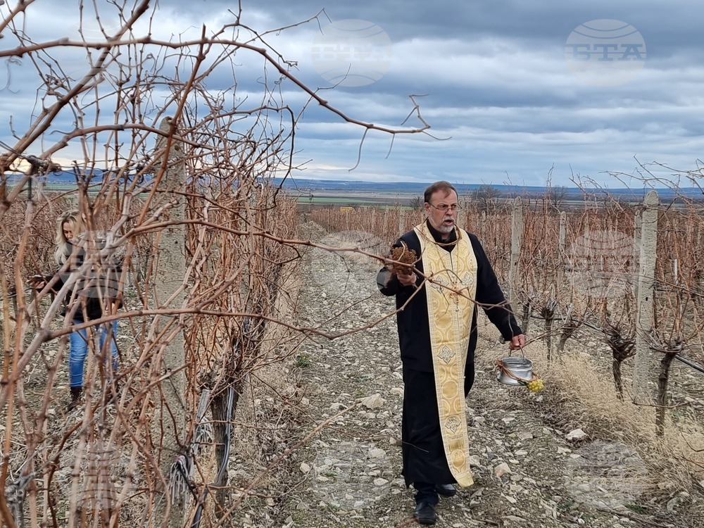 В сливенското село Глушник се състоя ритуал по зарязване на лозята