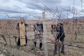 Село Глушник - Трифон Зарезан - зарязване