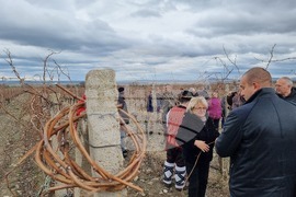 Село Глушник - Трифон Зарезан - зарязване