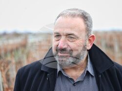 Поморие - Трифон Зарезан - празнично зарязване на лозята