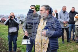 Поморие - Трифон Зарезан - празнично зарязване на лозята