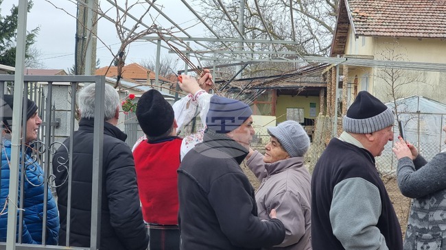 С възстановка на лозарски обичай Генерал Тошево ще отбележи празника Трифон Зарезан