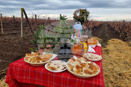 Плевен - Институт по лозарство и винарство - Трифон Зарезан