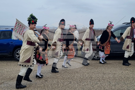 Плевен - Институт по лозарство и винарство - Трифон Зарезан