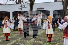 Враца - Трифон Зарезан