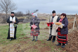 Село Сусам - Трифон Зарезан - ритуал