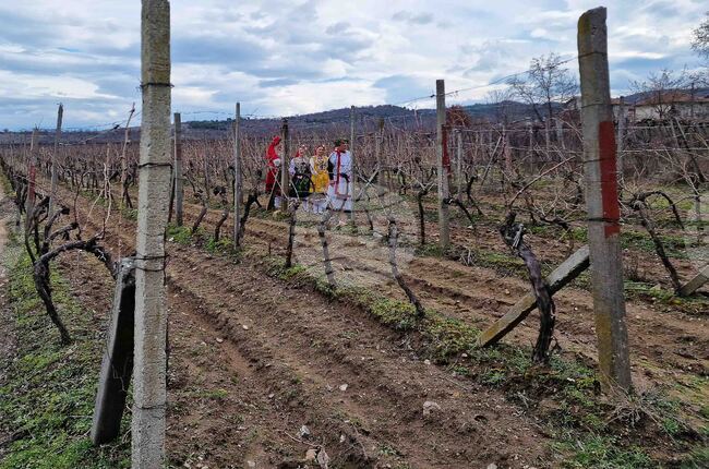 В Камено ще избират най-добро домашно вино от реколта 2024